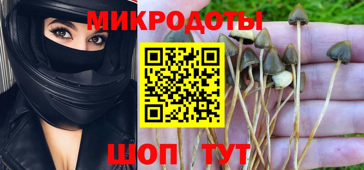 Псилоцибиновые грибы MAGIC MUSHROOMS Ессентуки